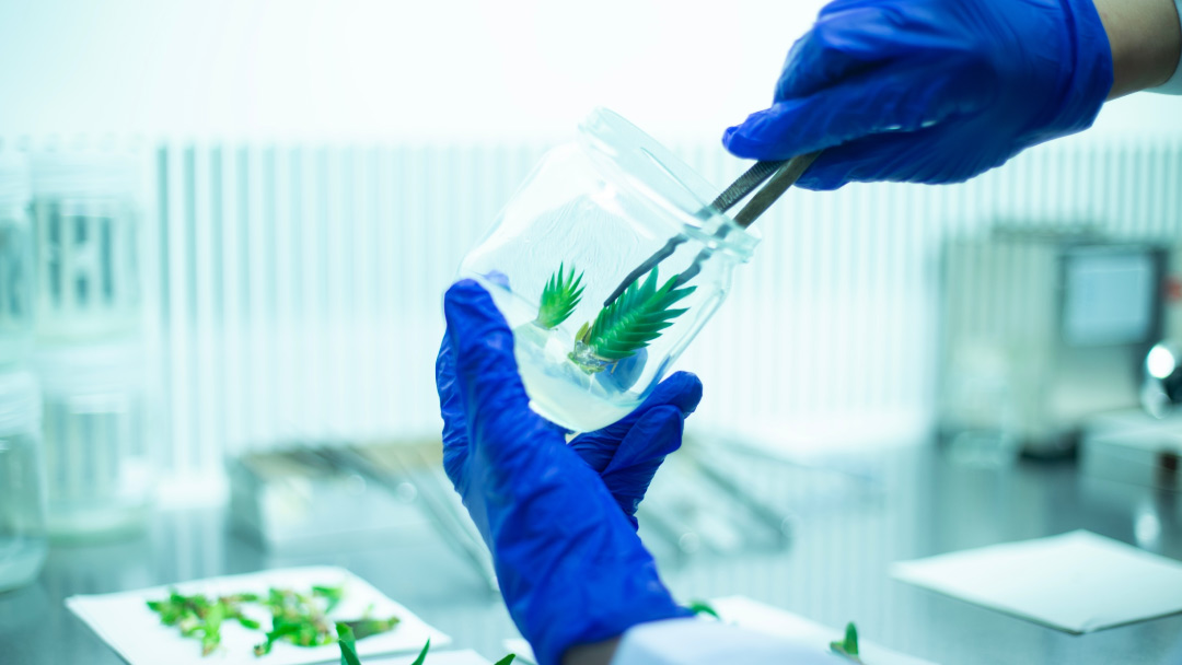 eyc-tech 組織培養室