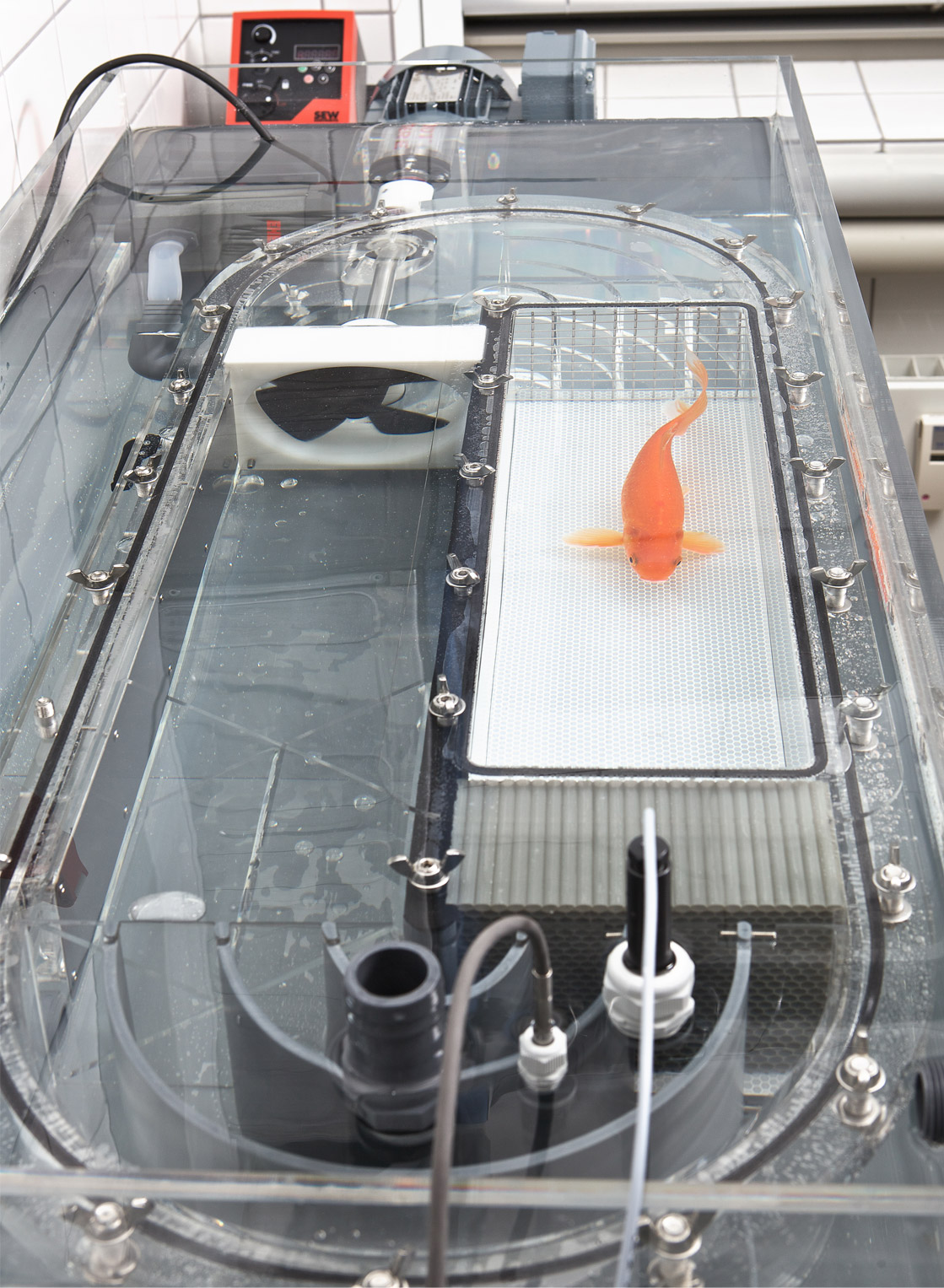 Höntzsch-溪流和河水中的流速測量